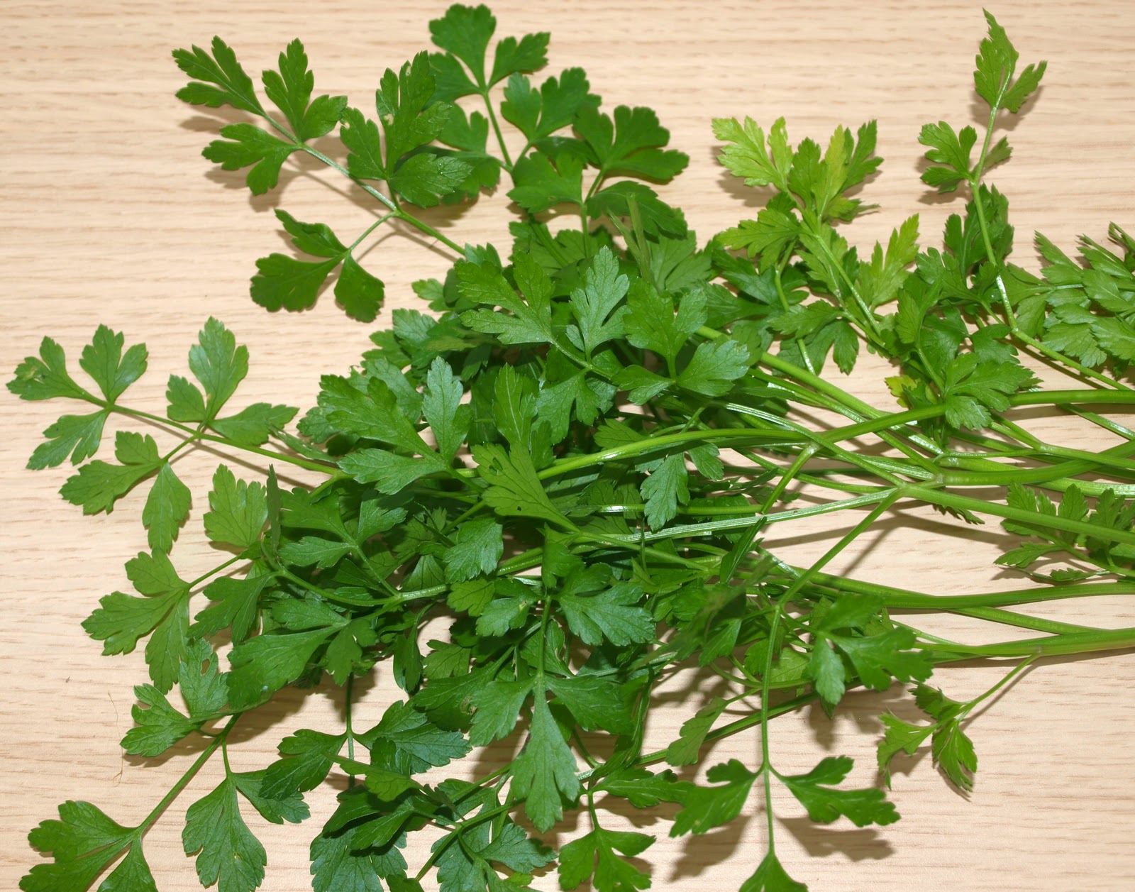 البقدونس الإفرنجي