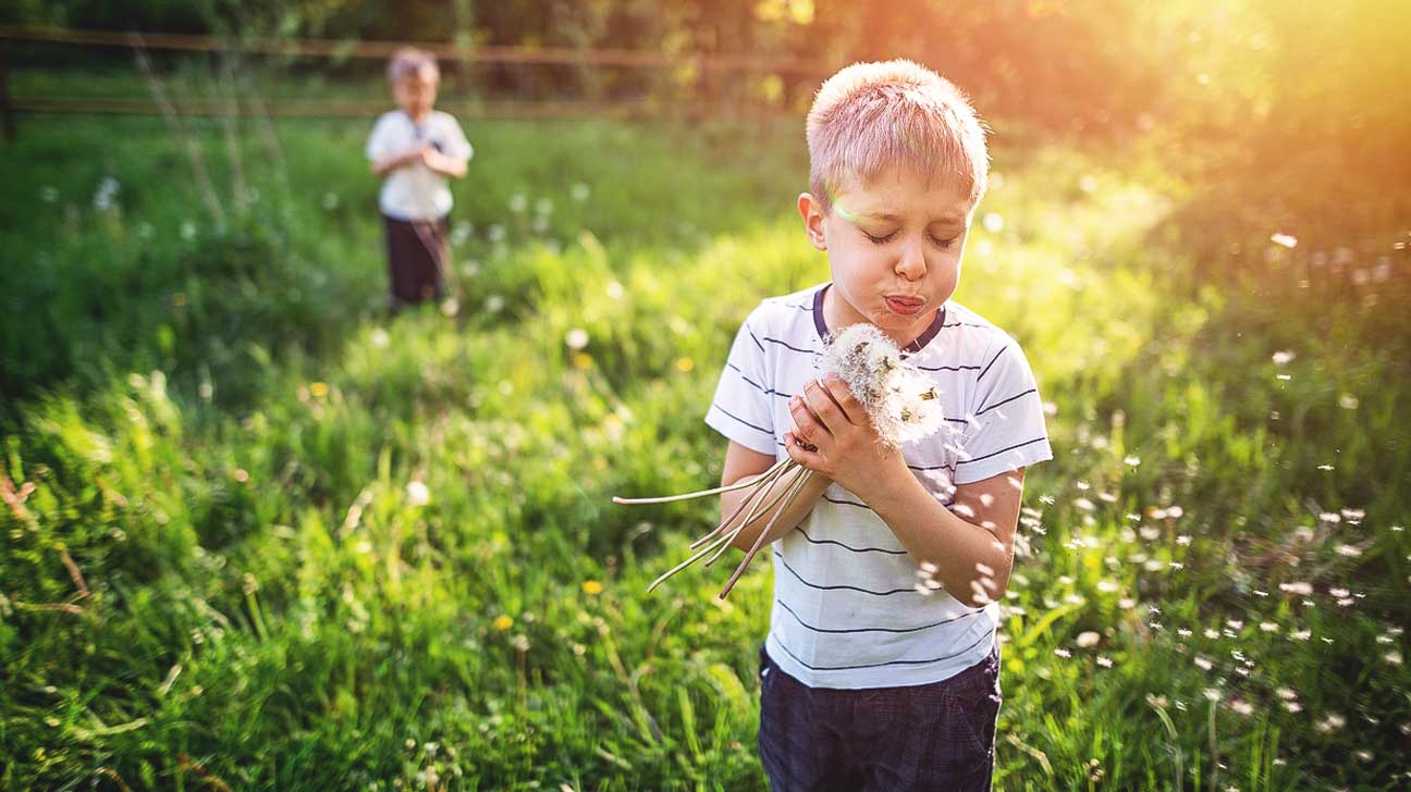 الحساسية الموسمية