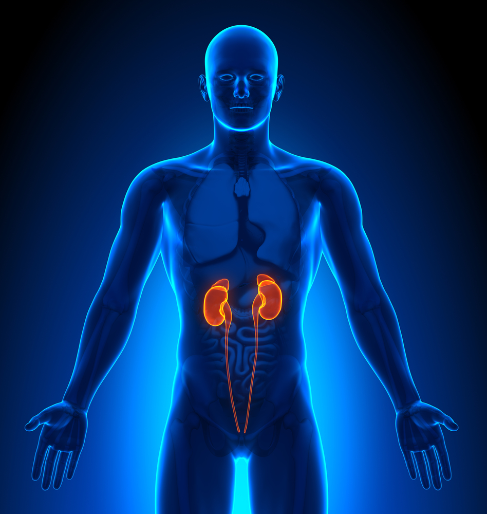 صورة اشعة لرجل ويوجد الكليتين