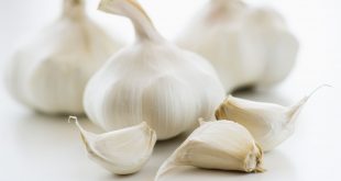 فوائد الثوم