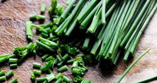 فوائد الثوم المعمر