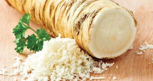 فوائد الفجل الحار