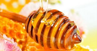 فوائد العسل