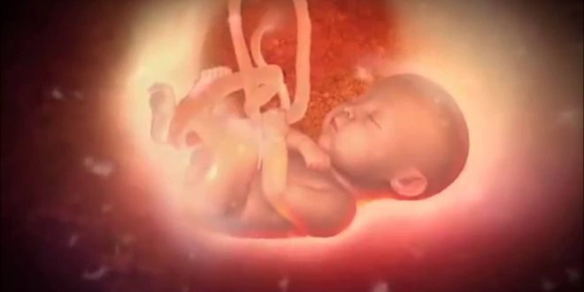 كيفية الاجهاض في الشهر الاول