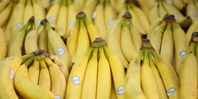 اضرار الموز