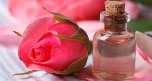 فوائد ماء الورد للبشره
