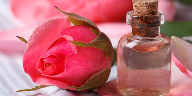 فوائد ماء الورد للبشره
