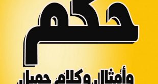 اجمل حكم وامثال