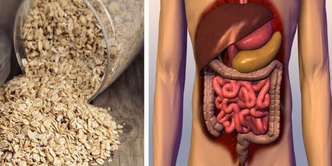 اضرار الشوفان