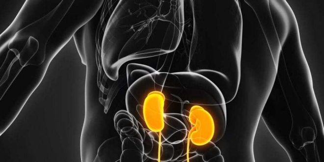 مضادات الحموضة تضر الكلى