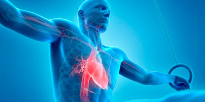 الم في الصدر