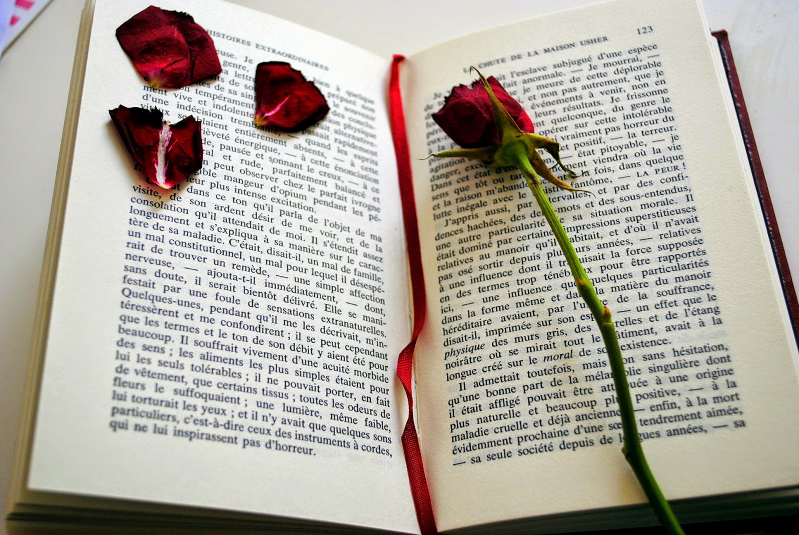 تجفيف الورد