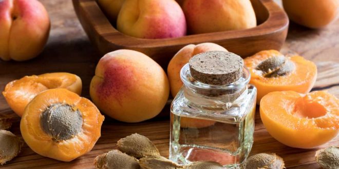 بذور المشمش لعلاج السرطان