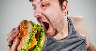 اضرار الوجبات السريعة
