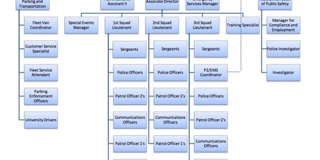 الهيكل التنظيمي