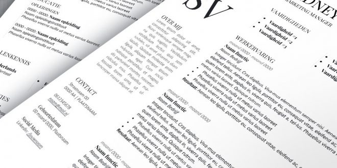 صيغة السيرة الذاتية