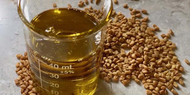 فوائد الحلبة للنساء