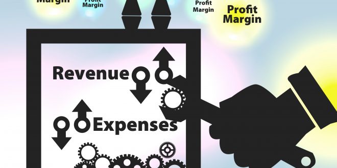 ما هو هامش الربح
