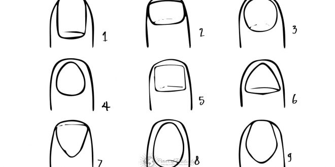 شكل الأظافر