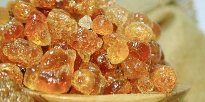 فوائد الصمغ العربي